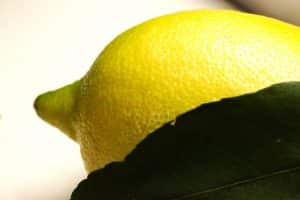 Die Zitrone kann bei Raumtemperatur einige Tage gelagert werden.