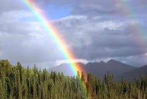 In "Light from the Yurt", the rainbow is a symbol of healing.