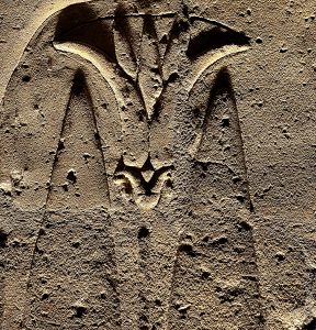 Der Lotus war in Altägypten verbunden mit Göttern.