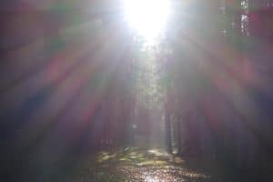 Schamanische Ausbildung Seminar 3. Strahlendes Sonnenlicht breitet sich von einer hellen Lichtquelle aus – Sinnbild für den Seelenmenschen und seine geistige Verbindung mit dem Allein-Guten