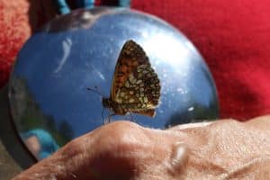 Schmetterling auf einer menschlichen Hand, im Hintergrund ein teilweise sichtbarer Schamanenspiegel – Sinnbild für heilende Liebe, Vertrauen und schamanische Erkenntnis.