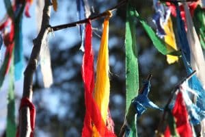Schamanische Ausbildung Seminar 6. Schmale Stoffstreifen hängen als Opferbänder an einem Zweig – Sinnbild für überlieferte Rituale und ihren Wandel im heutigen Schamanismus.