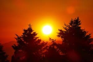 Schamanische Ausbildung Seminar 7. Strahlende Sonne als Lichtkugel beim Sonnenaufgang, Bäume und Landschaft in intensives rot-oranges Licht getaucht.